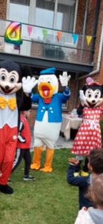 Costumes Disney, Enlèvement