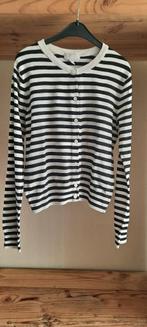 Mooi truitje/gilet h&m maat medium, H&M, Ophalen of Verzenden, Zo goed als nieuw, Maat 38/40 (M)