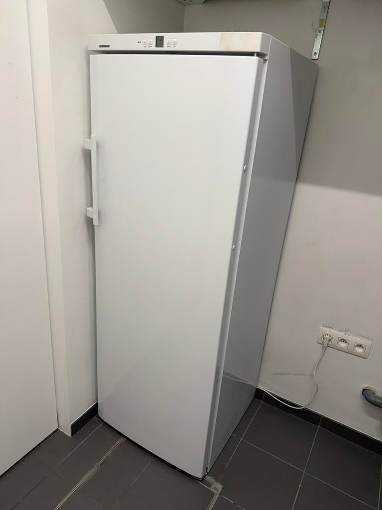 Liebherr GNP 2713-24 diepvries, Ophalen, Zo goed als nieuw