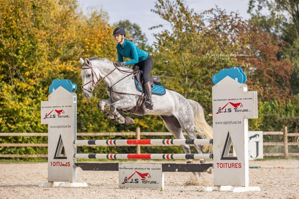 Lesgever - van beginner tot wedstrijdruiter, Ophalen