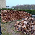 Bois de chauffage, 6 m³ ou plus, Enlèvement, Chêne, Bûches