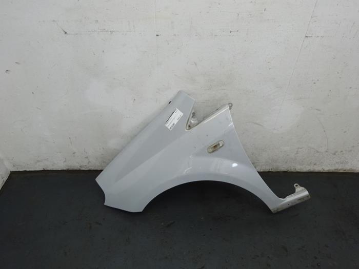 Scherm links-voor van een Fiat Punto Evo (760A), Auto-onderdelen, Carrosserie, Fiat, Gebruikt, 3 maanden garantie, Ophalen of Verzenden