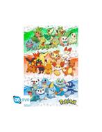 Pokemon - Poster Maxi (91.5x61cm) - First Partners, Autres sujets/thèmes, Affiche ou Poster pour porte ou plus grand, Envoi, Carré