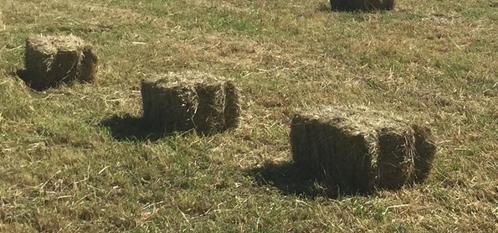 Petits ballots de foin BIO pour paillage de potagers., Jardin & Terrasse, Alimentation végétale, Neuf, Enlèvement ou Envoi