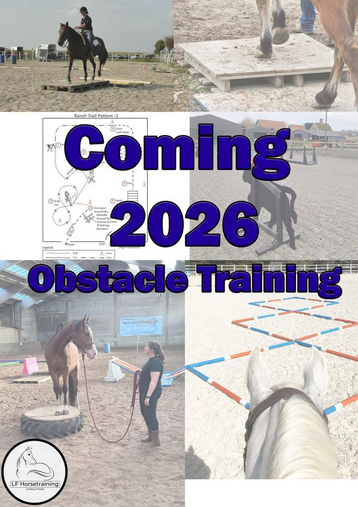 Schrik en obstakeltraining aan huis, Animaux & Accessoires, Chevaux