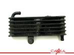 OLIEKOELER RSV 1000 R (+Factory) 2006-2010 (RSV1000), Motoren, Gebruikt