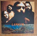 2lp Lankum: False Lankum, Cd's en Dvd's, Ophalen of Verzenden, Zo goed als nieuw, 12 inch