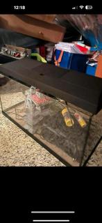 Aquarium, Enlèvement, Comme neuf