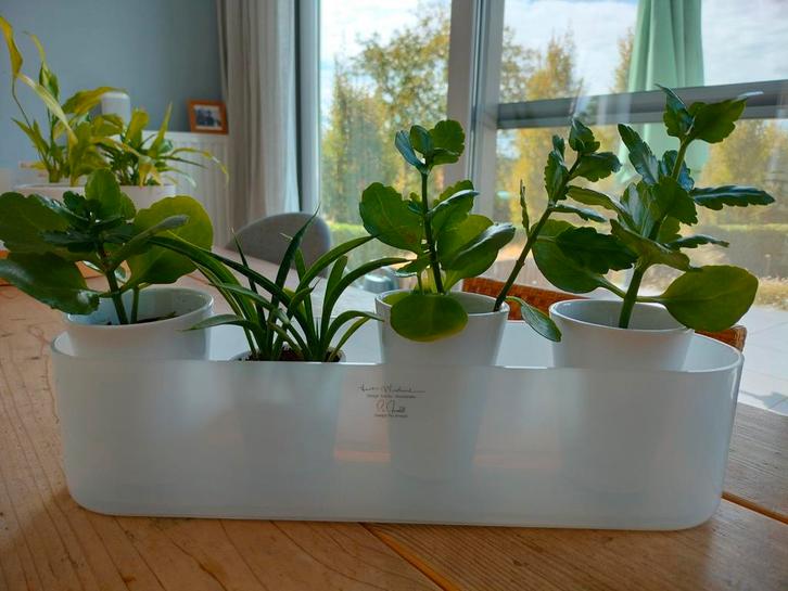 Prachtige design plantenbak Design Pia Amseli, melkglas, Jardin & Terrasse, Bacs à fleurs & Jardinières, Comme neuf, Enlèvement