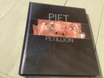 Kunstboek PIET PETILLION, Ophalen of Verzenden, Zo goed als nieuw, Beeldhouwkunst