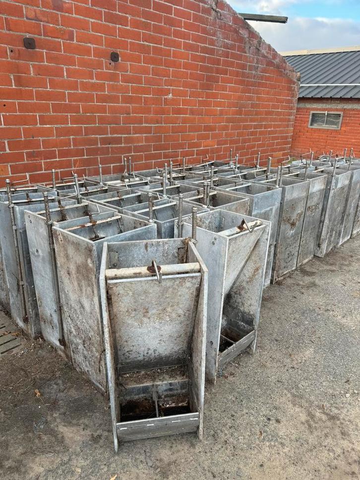 Voerderbakken Gratis af te halen, Dieren en Toebehoren, Schapen, Geiten en Varkens, Varken