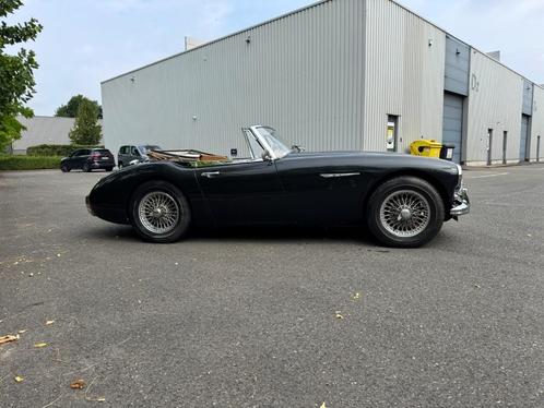 Austin Healey 3000 MKII BJ7 - BTW AUTO, Auto's, Austin, Particulier, Metaalkleur, Open dak, Benzine, Handgeschakeld, Zilver of Grijs