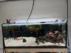 Aquaria en filters, Ophalen, Gebruikt