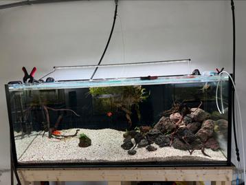 Aquaria en filters beschikbaar voor biedingen