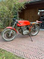 Mv Agusta Sport, Parilla, Mondial, Rumi, Maserati, Motoren, Sport