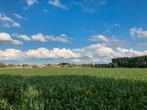 Landbouwgrond te koop/te huur gezocht regio Ieper/Heuvelland, Immo