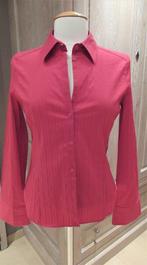 Nieuwe fuchsia katoenen InWear blouse, mt 36, Neuf, Autres couleurs, Taille 36 (S), InWear