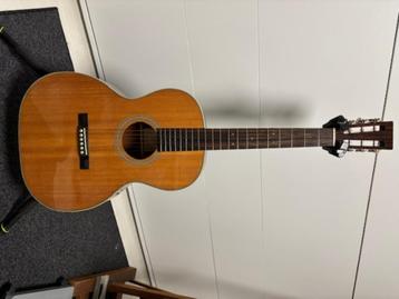 Akoestische Fingerstyle-gitaar met koffer en toebehoren beschikbaar voor biedingen