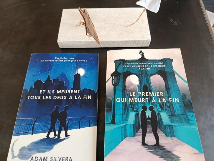 2 romans Et ils meurent tous les deux à la fin+ 1 gratuit!, Boeken, Kinderboeken | Jeugd | 13 jaar en ouder, Ophalen of Verzenden