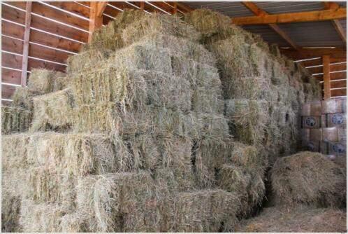 Petit ballot de foin 4€  Juprelle (Liège), Articles professionnels, Agriculture | Aliments pour bétail, Enlèvement
