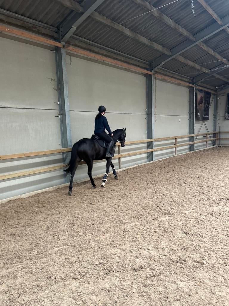 Bijrijder/ halvestal/verzorger, Dieren en Toebehoren, Paarden en Pony's | Verzorgingsproducten, Zo goed als nieuw, Ophalen