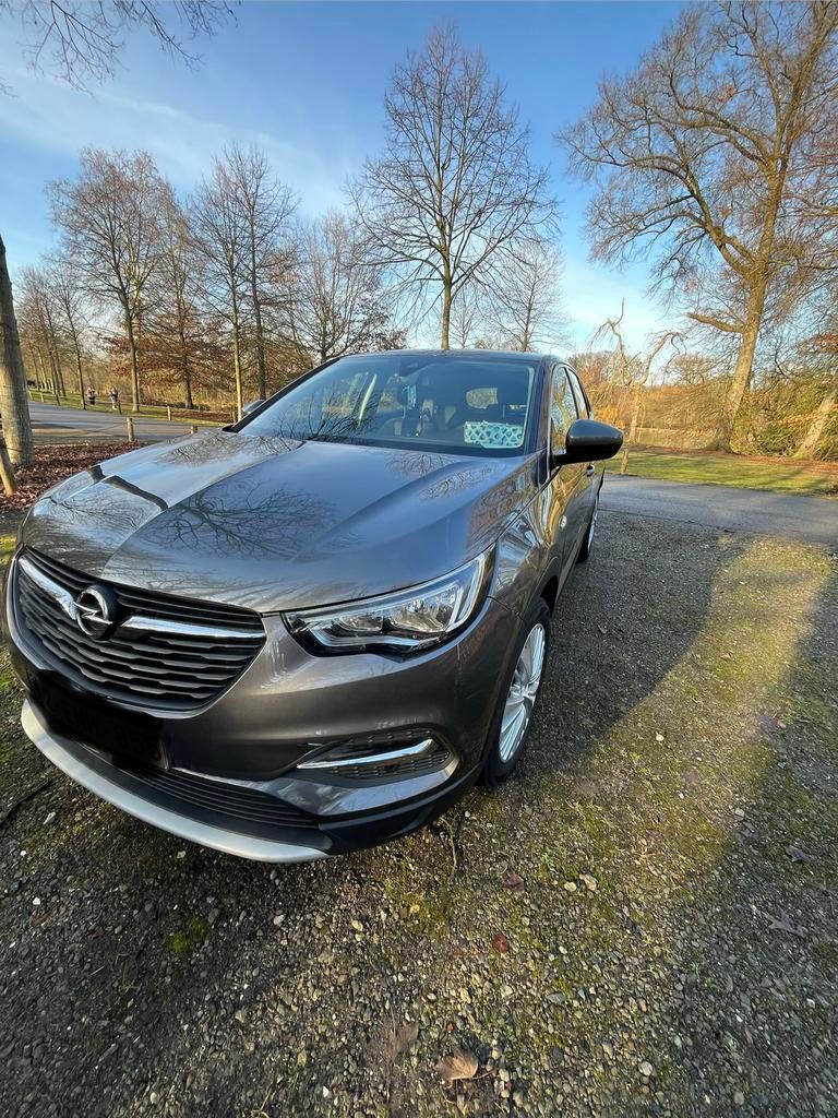 Opel Grandland x diesel 1.5 euro 6, Autos, Opel, Grandland, Achat, Euro 6, Diesel
