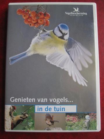 Genieten Van Vogels... In De Tuin beschikbaar voor biedingen