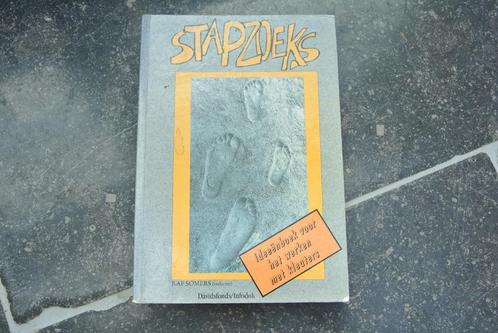 stapzoeks: ideeënboek voor kleuterleidsters, Boeken, Kinderboeken | Kleuters, Ophalen of Verzenden