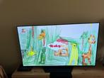 Oled tv 55inch, Audio, Tv en Foto, Televisies, Ophalen, Gebruikt, OLED, 100 Hz