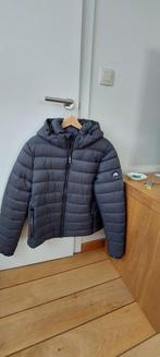 Donsjas Superdry te koop, Superdry, Maat 42/44 (L), Ophalen of Verzenden, Zo goed als nieuw