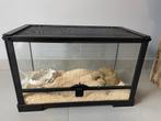 Terrarium, Dieren en Toebehoren, Ophalen of Verzenden, Zo goed als nieuw, Terrarium of Paludarium
