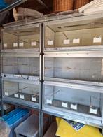6 kweek/broedkooien trespa, Ophalen, Gebruikt, Aluminium, Broedkooi of Kweekkooi