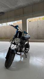 Dax b klasse, Bedrijf