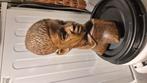 Afrikaanse vrouw, Antiek en Kunst, Ophalen of Verzenden