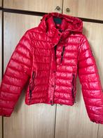 Manteau d'hiver rouge Superdry taille 42, Comme neuf, Superdry, Taille 42/44 (L), Rouge