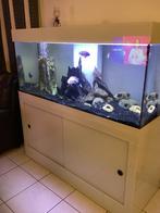 Aquarium 320l. Avec meuble blanc., Animaux & Accessoires, Enlèvement, Utilisé, Éclairage ou Chauffage