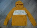 toffe gele sweater met kap H&M maat 170, Enfants & Bébés, Vêtements enfant | Taille 170, Enlèvement ou Envoi, Pull ou Veste, H&M