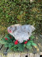 Zijdehoen parelgrijs krulveer, Dieren en Toebehoren, Pluimvee, Mannelijk, Kip