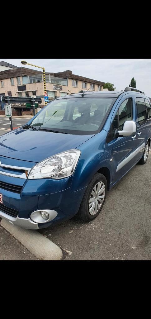 Berlingo, Auto's, Citroën, Bedrijf, Berlingo, Panoramadak, Ophalen