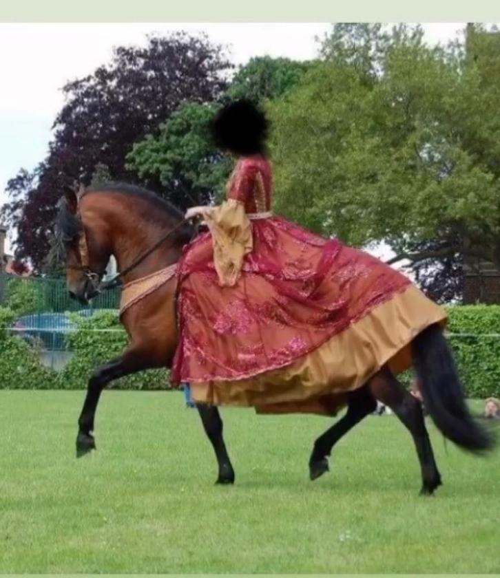 Spaanse jurk/ robe de spectacle/ onderlegger borstriem, Dieren en Toebehoren, Paardrijkleding, Zo goed als nieuw, Ophalen of Verzenden