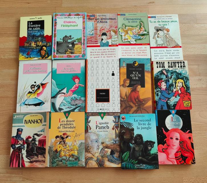 53 livres pour enfants et adolescents à petit prix, Boeken, Kinderboeken | Jeugd | 10 tot 12 jaar, Gelezen, Fictie, Ophalen of Verzenden