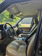 Nette Discovery 4, Auto's, Automaat, Euro 5, Beige, Leder