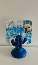 Dental cactus /small.  Afp, Animaux & Accessoires, Jouets pour chiens, Enlèvement ou Envoi, Neuf, Jouets à mâcher