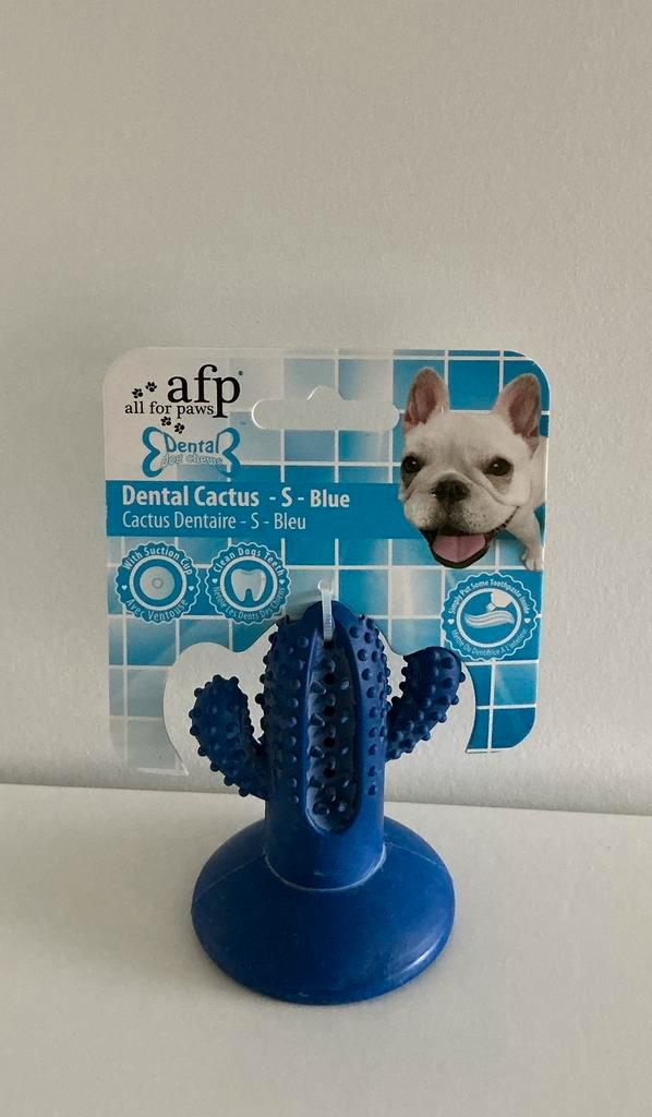 Dental cactus /small.  Afp, Animaux & Accessoires, Jouets pour chiens, Neuf, Jouets à mâcher, Enlèvement ou Envoi