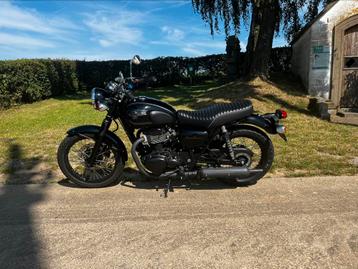 Kawasaki W800 Black Edition