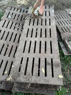 Beton roosters, Dieren en Toebehoren