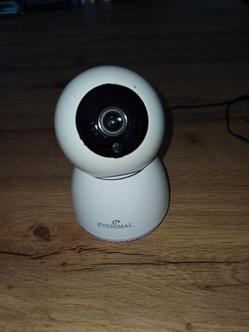 Camera interieur eyenimal beschikbaar voor biedingen