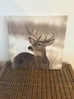 Canvas hert, Ophalen, Minder dan 50 cm, Gebruikt, Overige typen