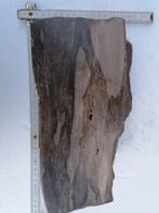 5900 gram zware fossiel hout versteend Permien Autun, Ophalen of Verzenden, Fossiel