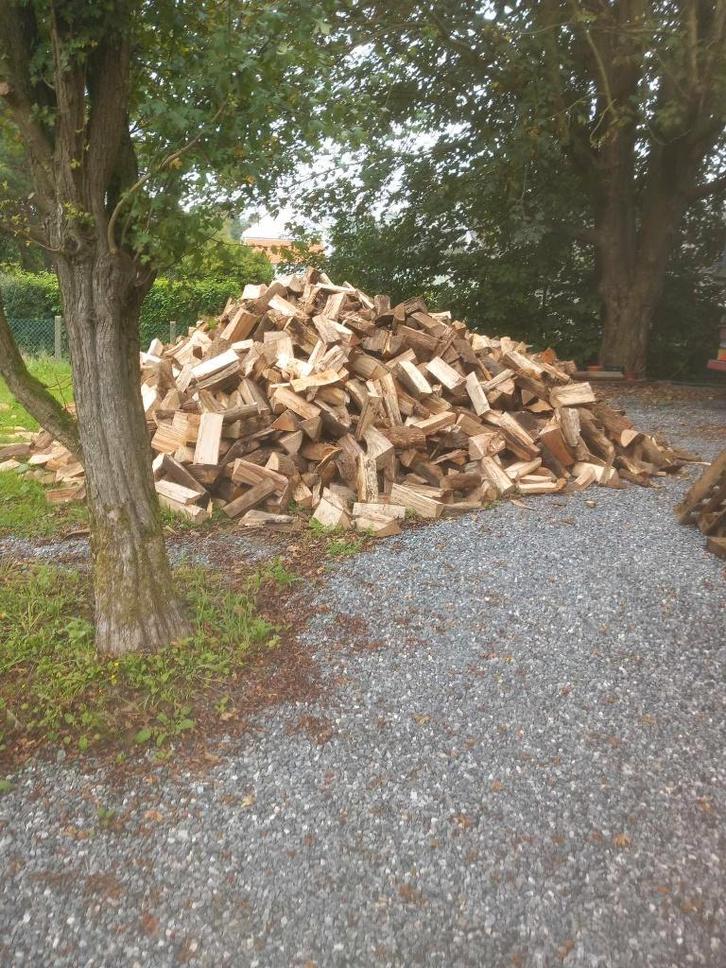 Payement à la livraison Bois dur 2ans vrac, Palette ou Box., Tuin en Terras, Brandhout, Blokken, Beukenhout, 6 m³ of meer, Verzenden